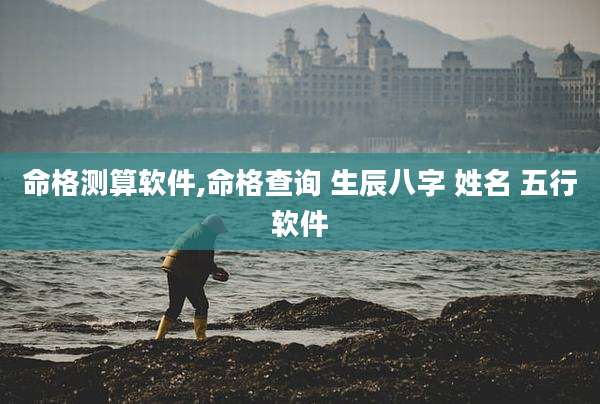 命格测算软件,命格查询 生辰八字 姓名 五行软件