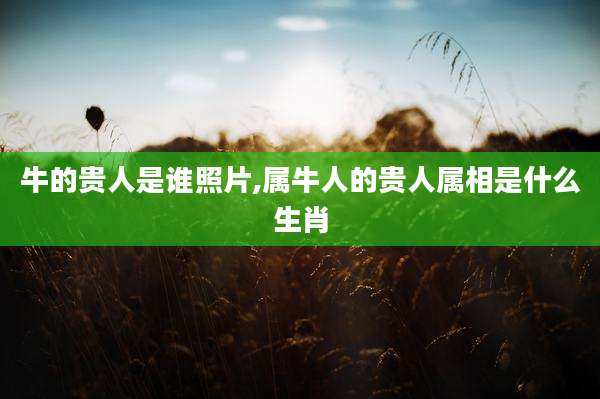 牛的贵人是谁照片,属牛人的贵人属相是什么生肖