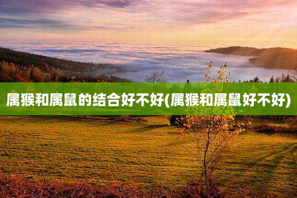 属猴和属鼠的结合好不好(属猴和属鼠好不好)