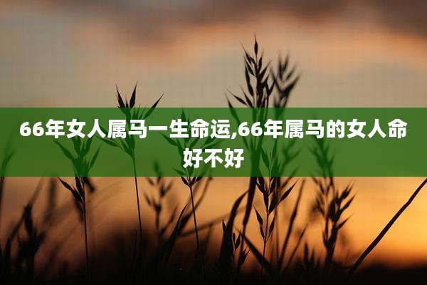 66年女人属马一生命运,66年属马的女人命好不好