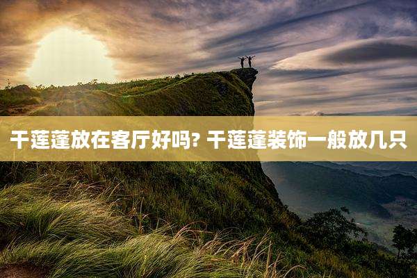 干莲蓬放在客厅好吗? 干莲蓬装饰一般放几只