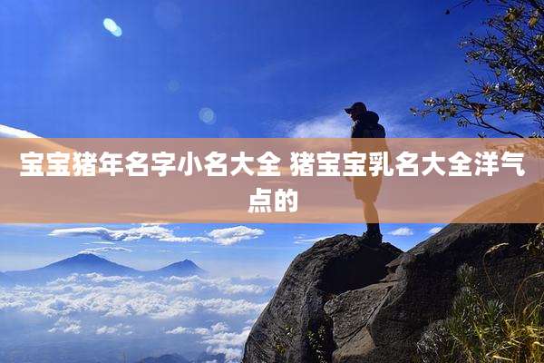 宝宝猪年名字小名大全 猪宝宝乳名大全洋气点的