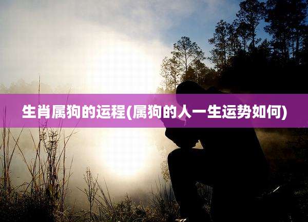 生肖属狗的运程(属狗的人一生运势如何)