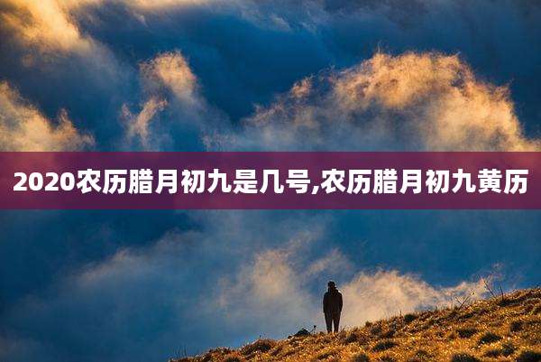 2020农历腊月初九是几号,农历腊月初九黄历