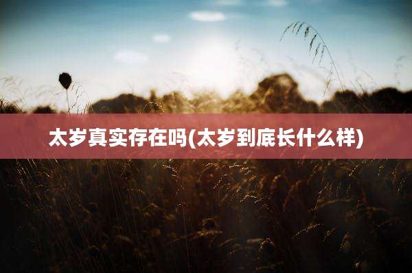 太岁真实存在吗(太岁到底长什么样)