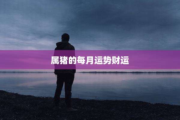 属猪的每月运势财运