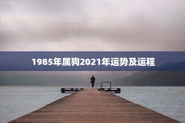 1985年属狗2021年运势及运程