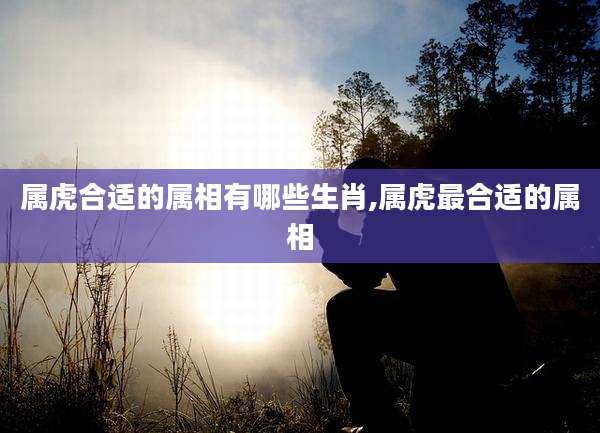 属虎合适的属相有哪些生肖,属虎最合适的属相