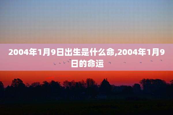 2004年1月9日出生是什么命,2004年1月9日的命运