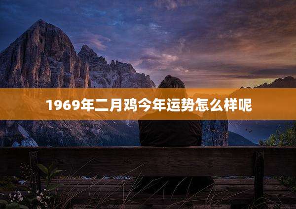 1969年二月鸡今年运势怎么样呢