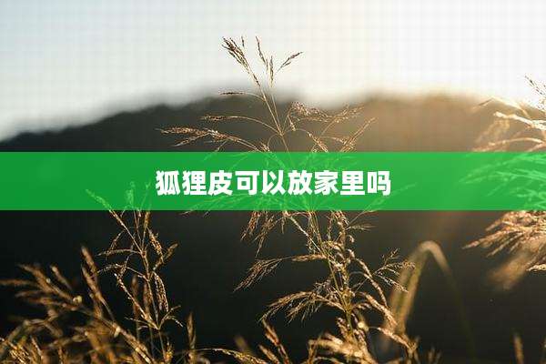 狐狸皮可以放家里吗