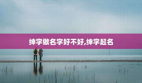 绅字做名字好不好,绅字起名