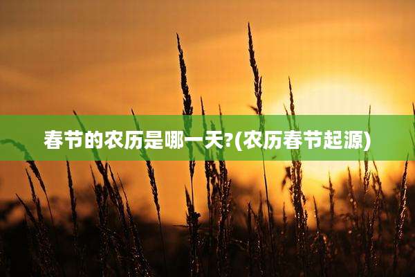 春节的农历是哪一天?(农历春节起源)