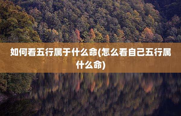 如何看五行属于什么命(怎么看自己五行属什么命)