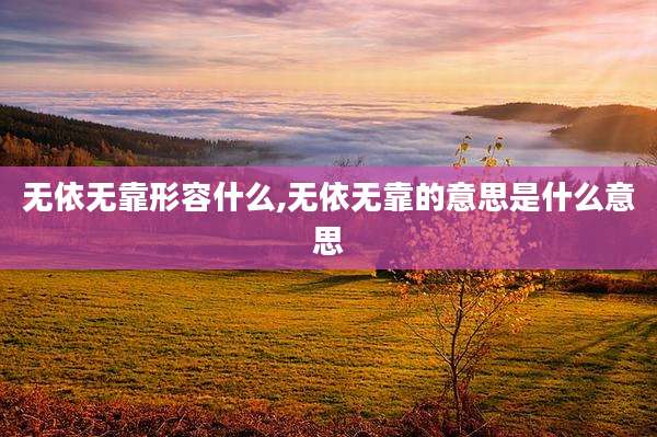 无依无靠形容什么,无依无靠的意思是什么意思