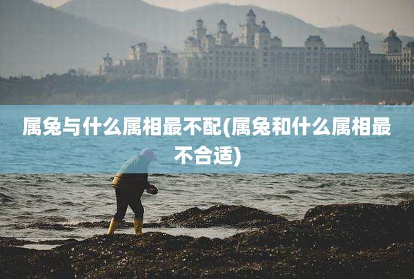 属兔与什么属相最不配(属兔和什么属相最不合适)