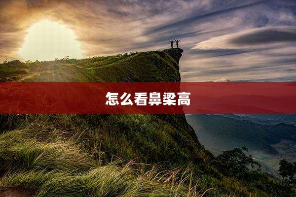怎么看鼻梁高