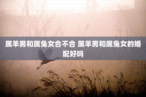 属羊男和属兔女合不合 属羊男和属兔女的婚配好吗