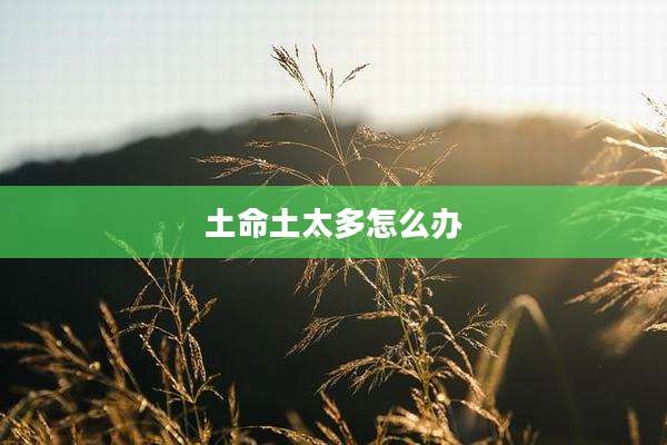 土命土太多怎么办