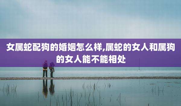 女属蛇配狗的婚姻怎么样,属蛇的女人和属狗的女人能不能相处