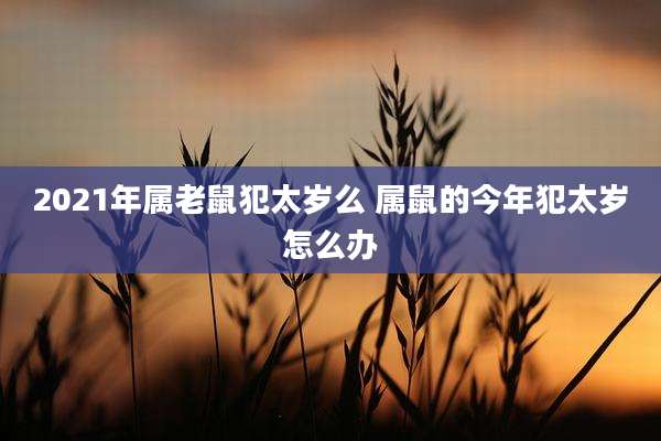 2021年属老鼠犯太岁么 属鼠的今年犯太岁怎么办