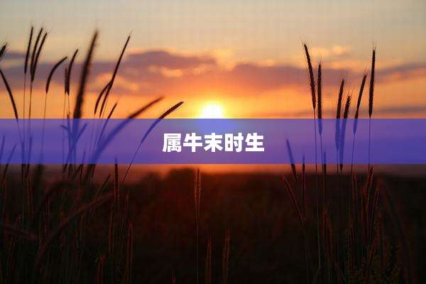 属牛末时生