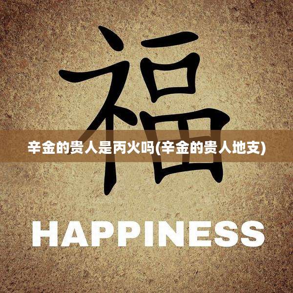 辛金的贵人是丙火吗(辛金的贵人地支)