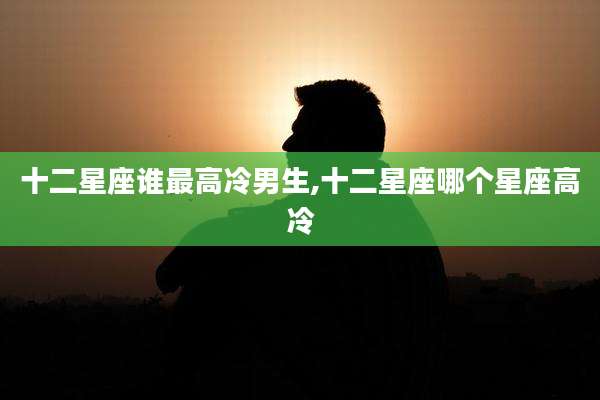 十二星座谁最高冷男生,十二星座哪个星座高冷