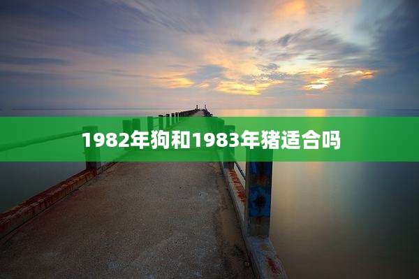 1982年狗和1983年猪适合吗