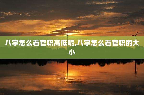 八字怎么看官职高低呢,八字怎么看官职的大小
