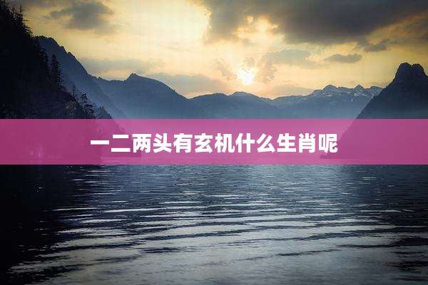 一二两头有玄机什么生肖呢