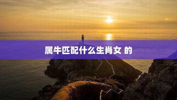 属牛匹配什么生肖女 的