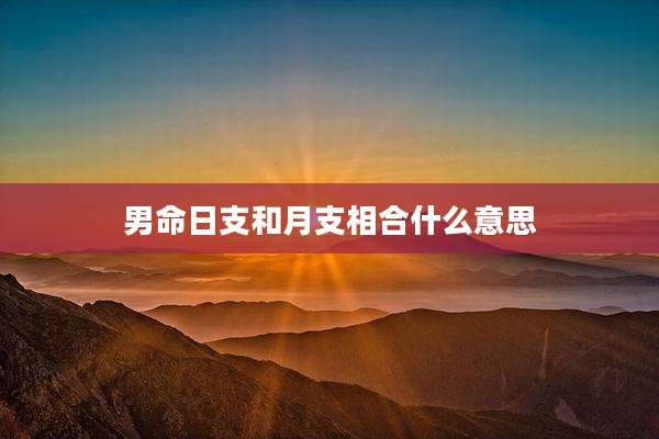 男命日支和月支相合什么意思