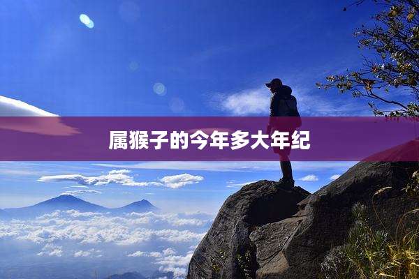 属猴子的今年多大年纪