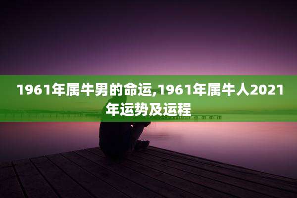 1961年属牛男的命运,1961年属牛人2021年运势及运程