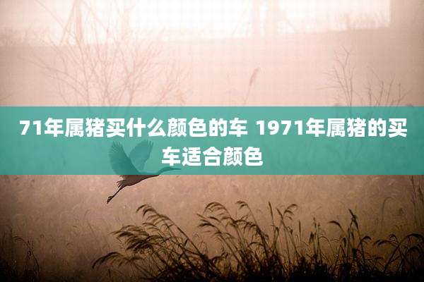 71年属猪买什么颜色的车 1971年属猪的买车适合颜色