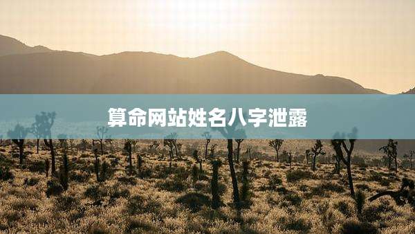 算命网站姓名八字泄露