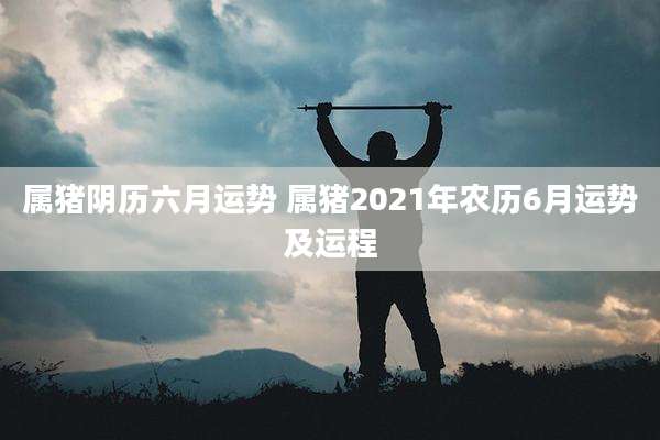 属猪阴历六月运势 属猪2021年农历6月运势及运程