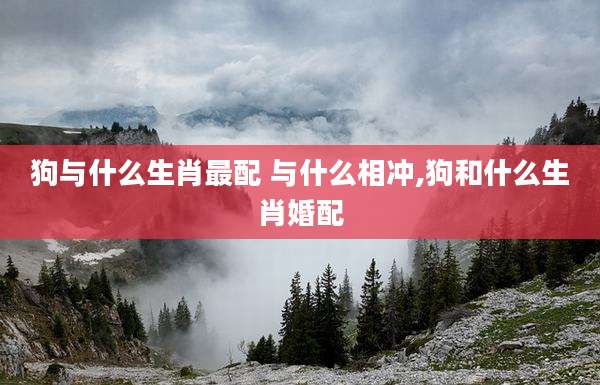 狗与什么生肖最配 与什么相冲,狗和什么生肖婚配