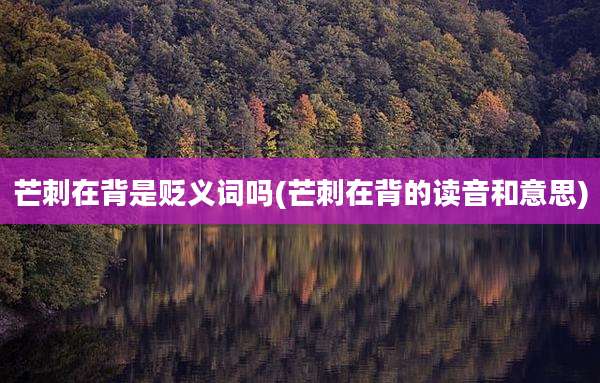 芒刺在背是贬义词吗(芒刺在背的读音和意思)