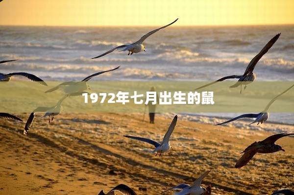 1972年七月出生的鼠