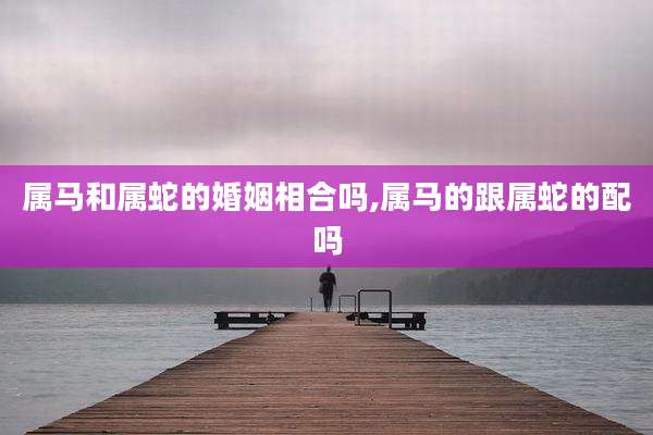属马和属蛇的婚姻相合吗,属马的跟属蛇的配吗