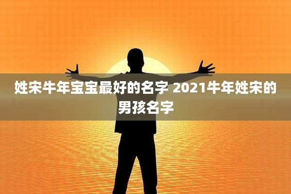 姓宋牛年宝宝最好的名字 2021牛年姓宋的男孩名字