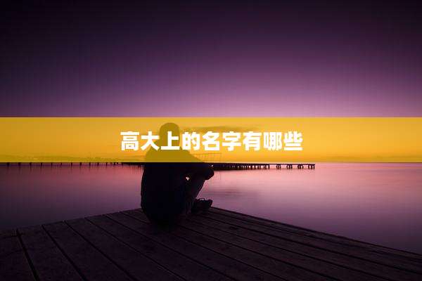 高大上的名字有哪些