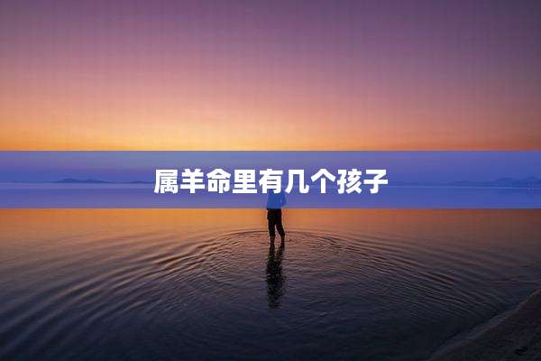 属羊命里有几个孩子