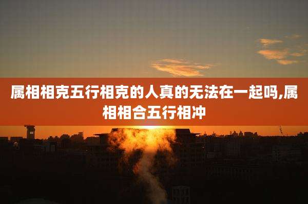 属相相克五行相克的人真的无法在一起吗,属相相合五行相冲