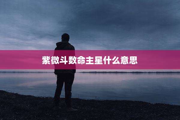紫微斗数命主星什么意思