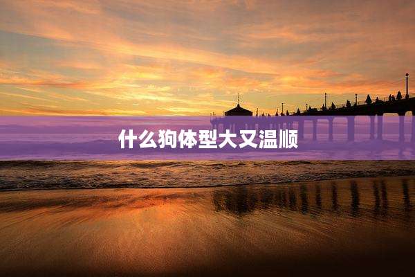 什么狗体型大又温顺