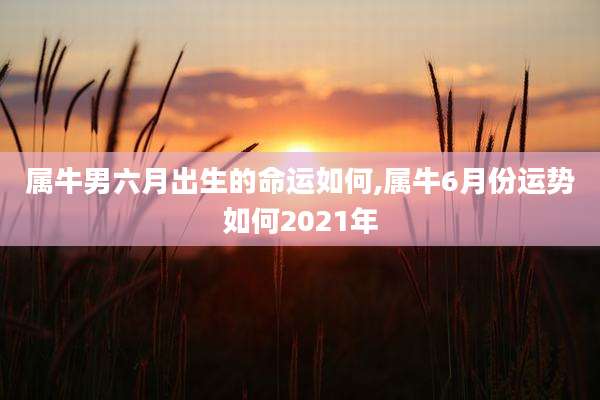 属牛男六月出生的命运如何,属牛6月份运势如何2021年