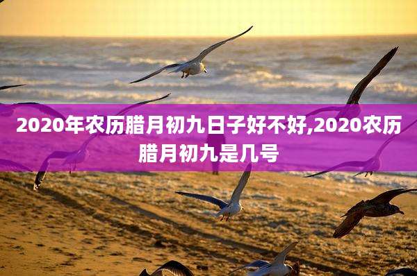 2020年农历腊月初九日子好不好,2020农历腊月初九是几号